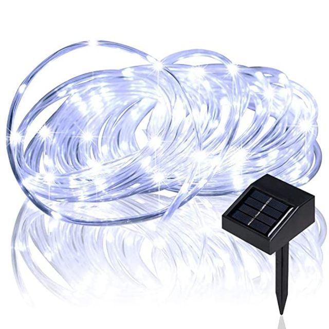 Lychee Christmas Rope Lights