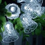 Chuangsheng Solar Powered Rope Lights