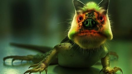 Ugliest_animals_feature_image