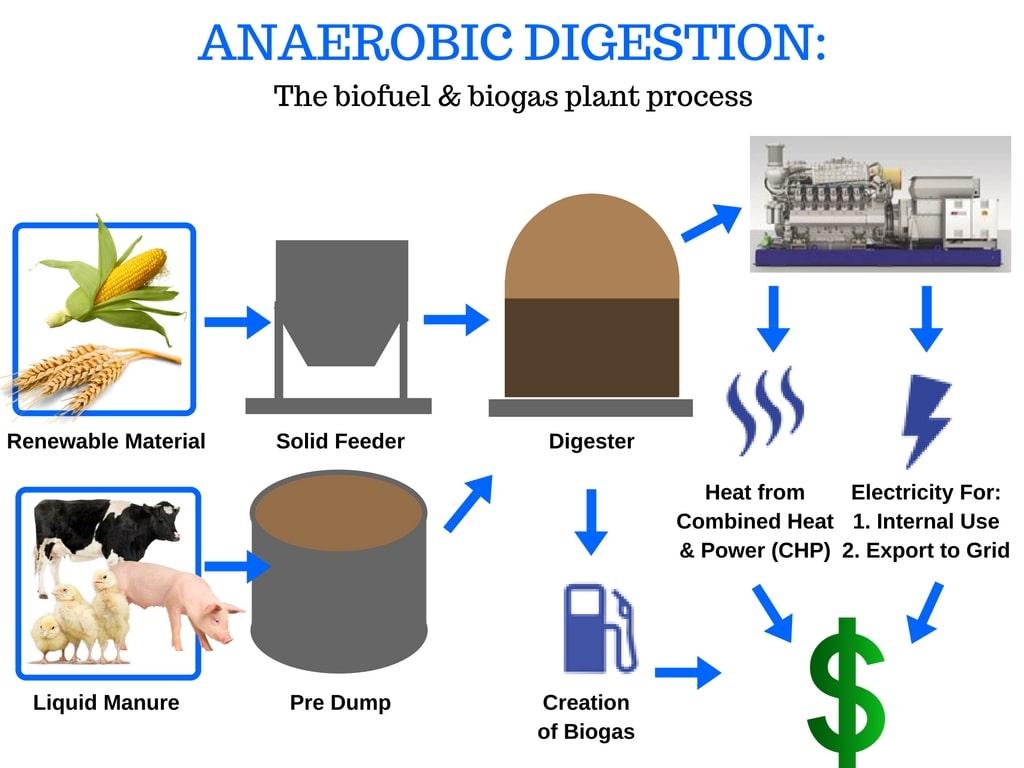 biogas generation by anaerobic digestion