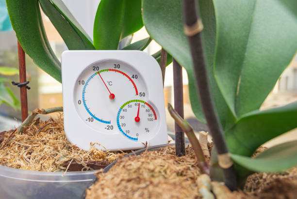 Thermometer and Hygrometer to measure optimal conditions for plant growth